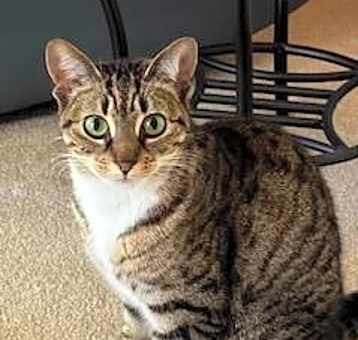 Photo of Kiri