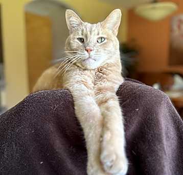 Photo of Chuck