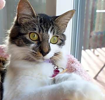Photo of Kiwi