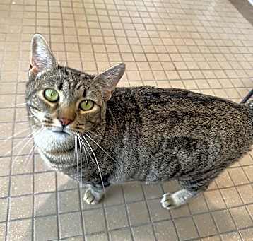 Photo of Miss Thing