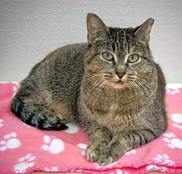 Photo of Lola