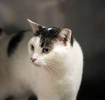 Photo of Crisanto