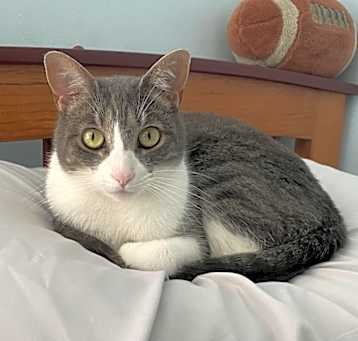 Photo of Devi