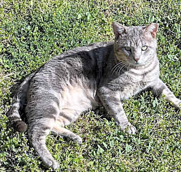 Photo of Swirly