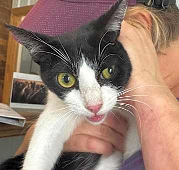 Photo of Talulah