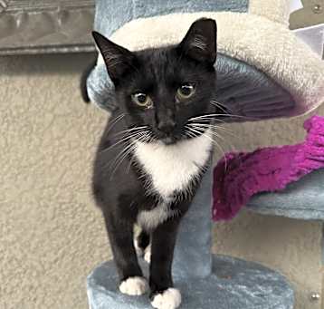 Photo of Tilly
