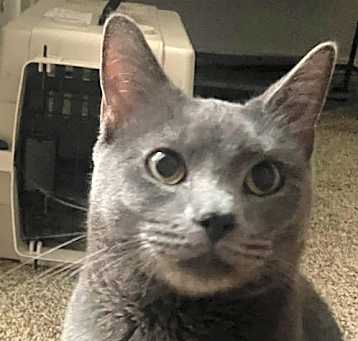 Photo of Zappo
