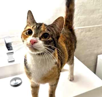 Photo of Winnie