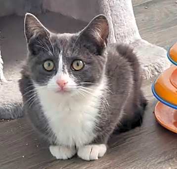 Photo of Bly