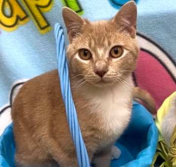 Photo of Buffy