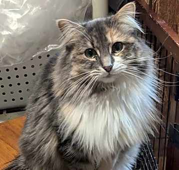 Photo of Marsha