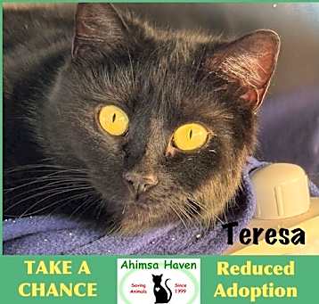 Photo of Teresa