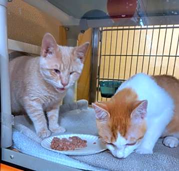 Photo of Rudy & Max