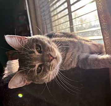 Photo of Day Lilly