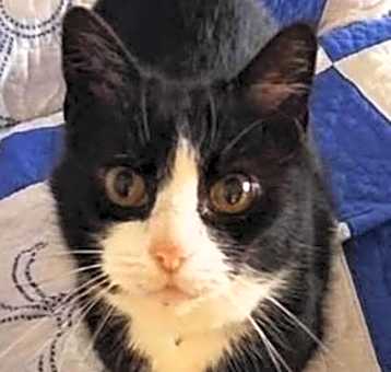 Photo of Coco
