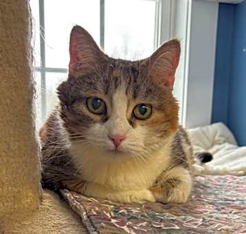 Photo of Raz