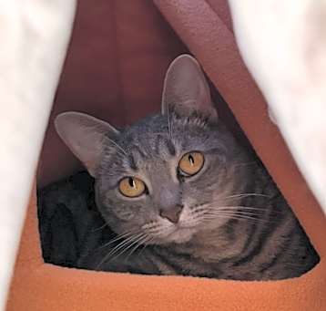Photo of Astrid