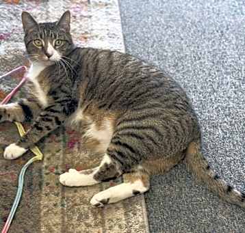 Photo of Timber