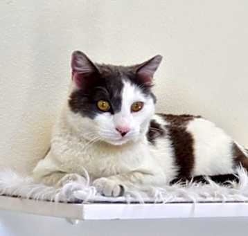 Photo of Tye
