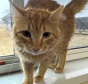 Photo of Mr. Kringle