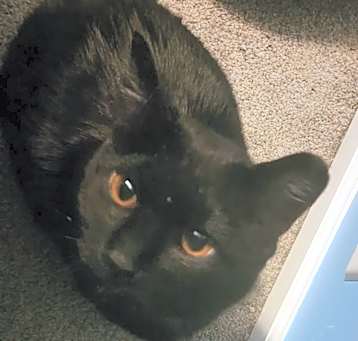 Photo of Murphy