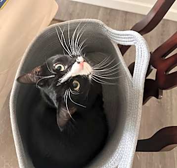 Photo of Winnie