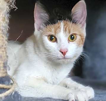 Photo of Sophie