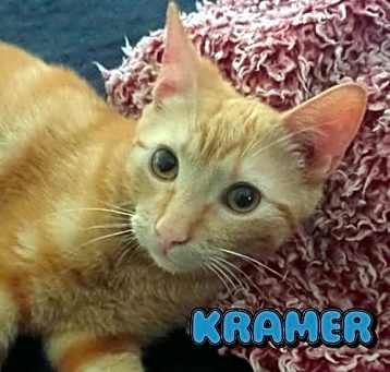 Photo of Kramer #Seinfeld-crew