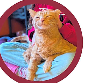 Photo of Sally