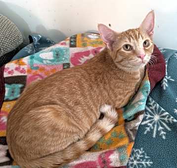 Photo of Melodie's OMalley
