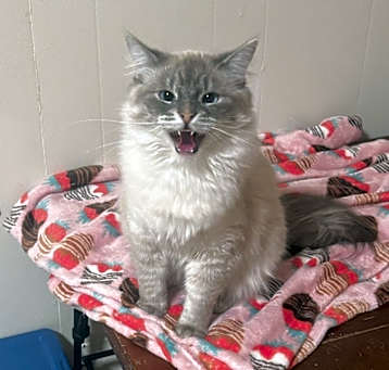 Photo of Tom