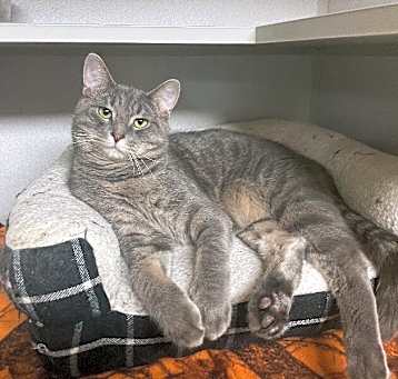 Photo of Oliver