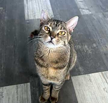 Photo of Ducky