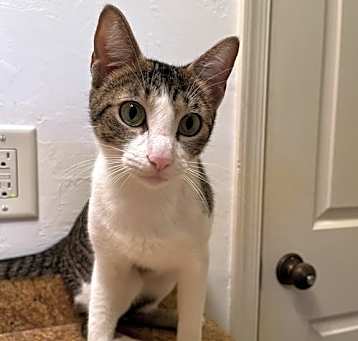 Photo of Emmy