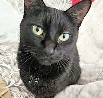 Photo of Charlie
