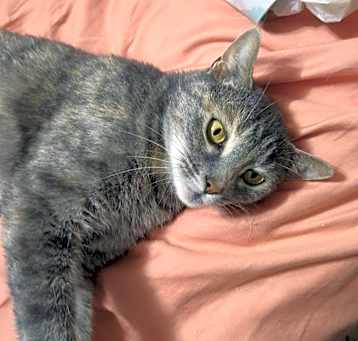 Photo of Willow