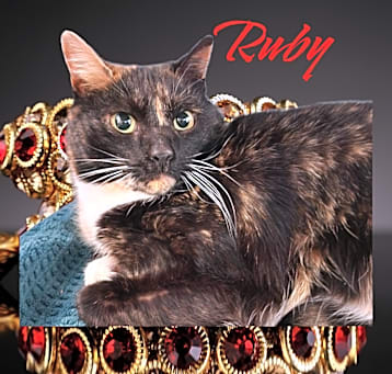 Photo of Ruby