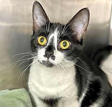 Photo of Sugar