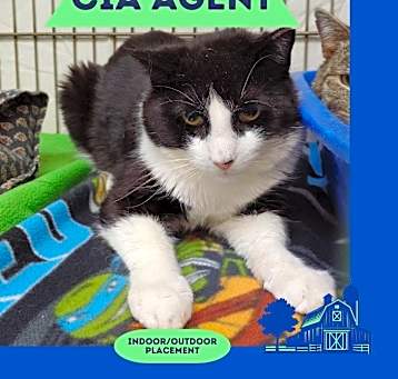 Photo of Agent Meaty