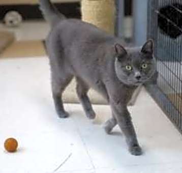 Photo of Misty
