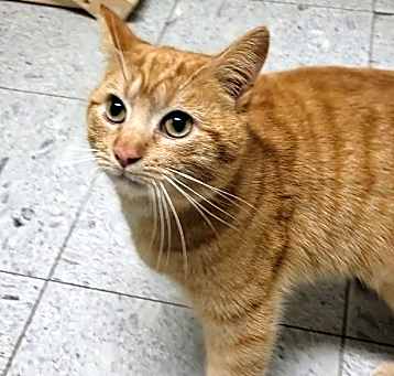Photo of MONTE
