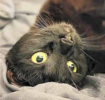 Photo of Mimi