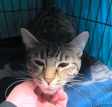 Photo of Delilah