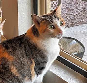 Photo of Alice