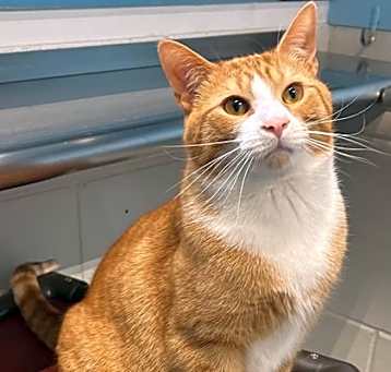 Photo of George