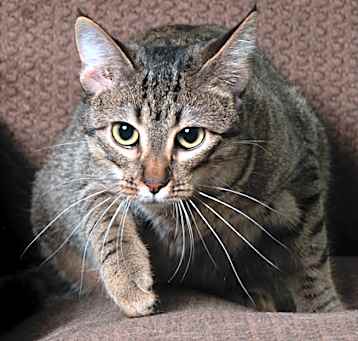 Photo of Kassy
