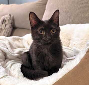 Photo of Jenny Lou
