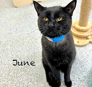 Photo of June