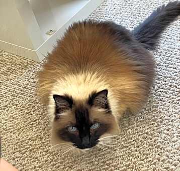 Photo of Chloe