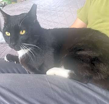 Photo of *BOOTS